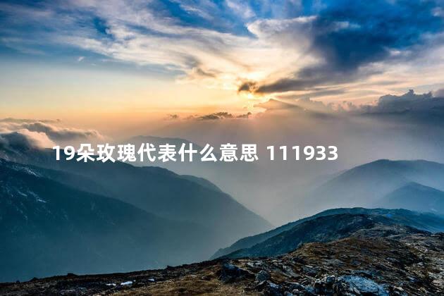 19朵玫瑰代表什么意思 11193399朵玫瑰代表什么